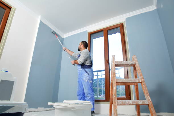 Best Mold Damage Restoration  in Midland City, AL