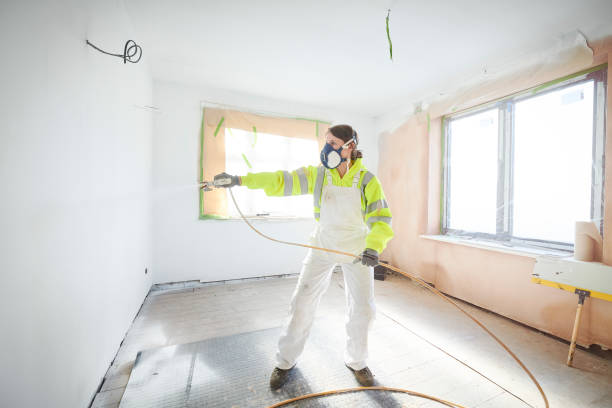 Trusted Midland City, AL Mold Removal Experts