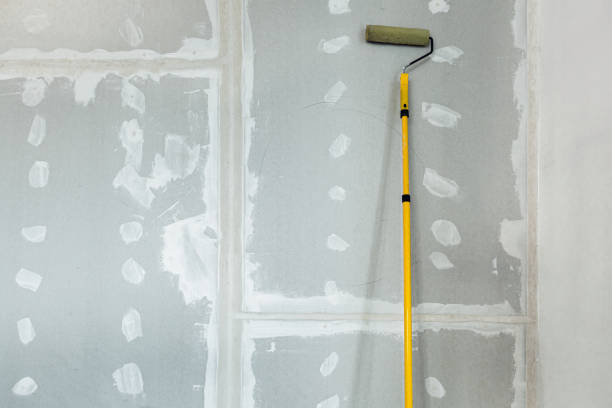 Best Asbestos and Lead Testing During Mold Inspection  in Midland City, AL