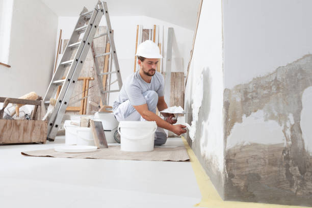 Best Water Damage & Mold Remediation  in Midland City, AL