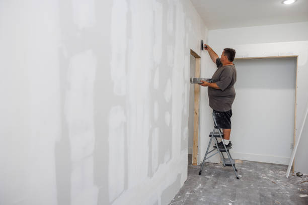 Best Mold Documentation for Insurance Claims  in Midland City, AL