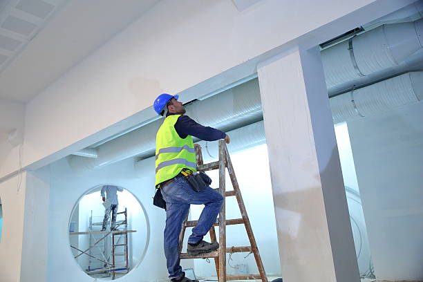  Midland City, AL Mold Removal Pros